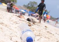 Los turistas extranjeros son la gente más educada y consciente del cuidado de la playa y el mar: si traen una botella de agua se llevar el embace y más si pueden  de la playa, pero los colombianos, los más sucios y los que más basura dejan.