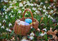 Los huevos y conejos de chocolate comprenden una costumbre que se celebra hace más de 1.000 años.
