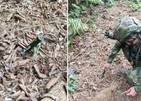 Explosivos encontrados en Antioquia