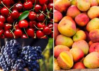 Hay frutas que por su alto contenido en azúcar lo podrían engordar