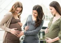 Mujeres en estado de embarazo y sus derechos laborales con contratos de prestación de servicios