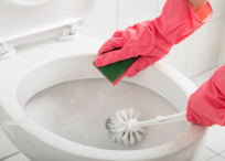 Aunque los inodoros son el objeto con más bacterias, los solemos limpiar a diario.