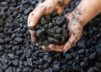 El carbón se encuentra en acumulaciones, en forma de capas o yacimientos, bajo la superficie terrestre.