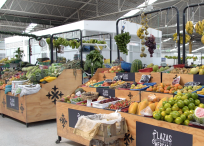 Contraloría alerta que el Ipes no ha cobrado a 19 plazas las carteras pendientes.