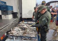 Las autoridades hacen revisión de la talla y el estado del pescado que se está ofreciendo.