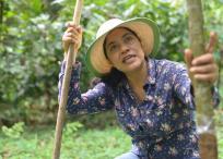 Liliana Jiménez, es Líder de la Ruralidad de las Américas. Además de ejercer como María del Campo, el personaje de Fedecacao, ella es activista  en beneficio de resaltar el papel de las mujeres en la actividad agropecuaria, especialmente en el cultivo del cacao.