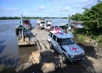Comité Internacional de la Cruz Roja (CICR)