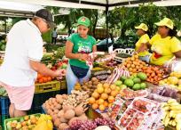 Los habitantes del norte de la ciudad pueden comprar frutas y verduras frescas.
