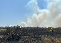 Estas quemas están teniendo un impacto devastador en la calidad del aire en Barranquilla.