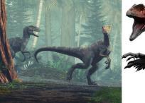 Dinosaurios velociraptor, era Jurásica