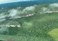 En el sobrevuelo se pudo registrar parches de deforestación en los Parques Nacionales Naturales Chiribiquete, La Macarena y Tinigua; además de la Reserva Natural Nukak Makú.