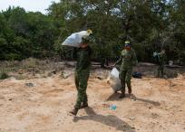 Los hombres de la Armada de Colombia participaron en la limpieza de los mangles aledaños a la playa de Puerto Mocho.