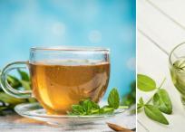 Consumir té verde en exceso podría ser perjudicial para su salud