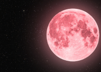 Luna de fresa de junio 2024.