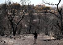 Bosque quemado tras un incendio forestal en la zona de Vrilissia, cerca de la ciudad de Atenas.