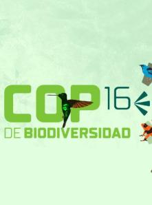 COP 16 de biodiversidad