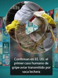 Confirman en EE. UU. el primer caso humano de gripe aviar transmitido por vaca lechera