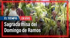 Misa del Domingo de Ramos | El Tiempo
