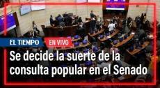 Senado de la República decide la suerte de la consulta popular | El Tiempo