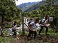 La profesora Luz América Quiñones atraviesa el monte, en el Valle del Cauca, para cumplir con su labor.