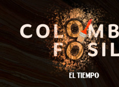 Share especial Colombia fósil