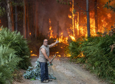 En Europa, los incendios forestales provocados por la fuerte ola de calor no dieron tregua. Durante 2022, más de 200 mil hectáreas se quemaron solo en España y unas 87 mil en Portugal, lo que significa el 1 % del territorio portugués. En la foto, un hombre intenta apagar un incendio en Albergaria a Velha, Portugal.