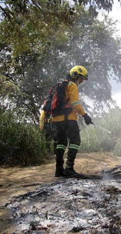 Los incendios forestales son algunas de las emergencias ambientales que se están registrando en el país.