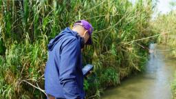 Instalan red de monitoreo para medir los niveles de diez ríos del Valle del Cauca