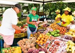 Los habitantes del norte de la ciudad pueden comprar frutas y verduras frescas.