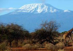 Los glaciares que cubren el Kilimanjaro en Tanzania desaparecerán para 2050.