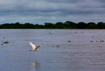 La caravana fluvial que se realiza por el río Magdalena busca recorrer 657 kilómetros del afluente hídrico más importante del país.