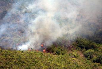 Más de 27.000 hectáreas de bosques nativos y pastos se han consumido en 118 incendios forestales en los últimos 40 días, en los departamentos de Meta y Guaviare. Esta cifra equivale a 27.000 canchas de fútbol.