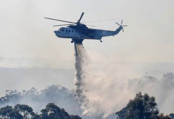 Un incendio forestal alertó a las autoridades del estado Nueva Gales del Sur en Sídney, Australia, quienes trabajaron por apagar las llamas producidas por causas desconocidas hasta el momento.