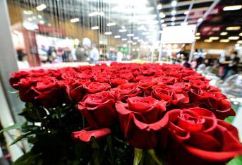 Las rosas son las flores que más exporta Colombia. En el 2017 representó una ganancia de  309.407.626 dólares. Estas flores se cultivan como ornamentales por su belleza y fragancia, pero también por sus usos en la perfumería, en la medicina (fitoterapia) y gastronomía.