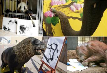 Las increíbles obras de arte pintadas por animales