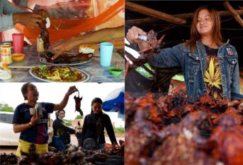 Una singular comida se popularizó en Battambang, ciudad de Camboya: el pincho de rata. La ‘merienda’ se vende en las orillas de las carreteras y los transeúntes o posibles compradores pueden conocer detalles del ‘proceso’ de preparación.
