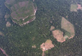 El Tiempo sobrevoló la reserva natural Nukak en San José del Guaviare. En el recorrido se pudo ver algunos tepuyes rodeados de coca, zonas que previamente fueron deforestadas.La zona es conocida como Nueva York.