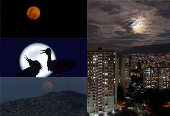 En la noche de este martes el cielo iluminó más de lo habitual gracias a la superluna, también conocida como la luna rosa. Este fenómeno maravilló a todos los que tuvieron la oportunidad de verla. Aquí, algunas imágenes de países de Latinoamérica y Europa.