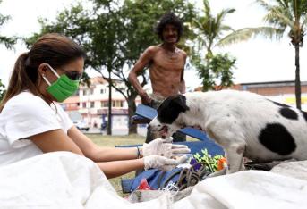Comedog del Valle del Cauca y la Policía Ambiental repartieron 70 kilos de alimento a animales en condición de calle.