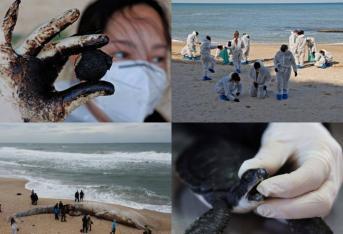 Según informó ‘CNN’, las autoridades de Israel están tratando de localizar la fuente de lo que se presume como un derrame de petróleo. “De los 190 kilómetros de playa en Israel, 170 kilómetros fueron afectados por el desastre ecológico”, aseguró la Autoridad de Parques y Naturaleza.