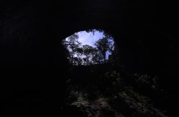 Boca de la caverna de Las Escuillas.