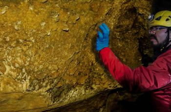 El geólogo David Tovar observa con asombro<QA0>
el brillo dorado que adorna la caverna, en El Peñón,
Santander.