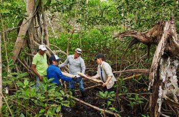 María Claudia Díazgranados Cadelo, de Conservation International, Selene Rojas Aguirre de Invemar y un equipo de asistentes de campo toman una muestra de suelo en uno de sus 25 sitios de suelo para realizar pruebas de carbono en los manglares.