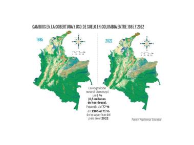 En 38 años, Colombia perdió 7,5 % de su vegetación natural.