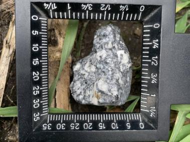NYT: Un meteorito que cayó cerca de Berlín el 21 de enero era una aubrita poco común.