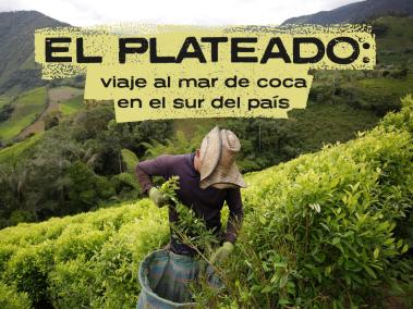El Plateado: viaje al mar de coca al sur del país