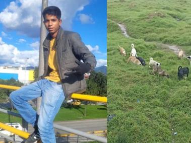 Greibert Eduardo Berríos y la manada de perros que se presume lo atacó.