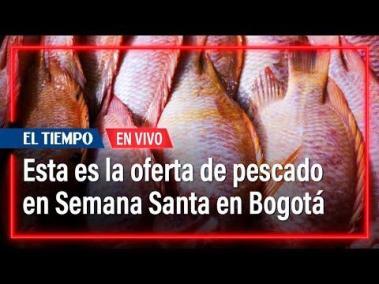 Esta es la oferta de pescado para Semana Santa en Corabastos | El Tiempo
