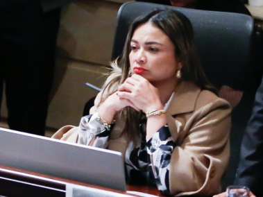 La representante denunció que no ha recibido apoyo del Gobierno.