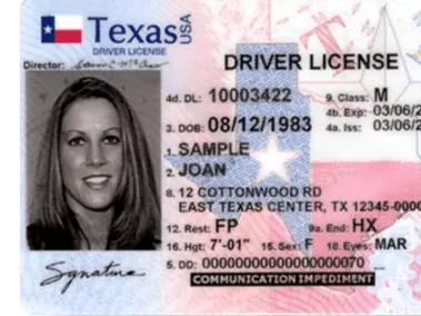 Texas Department of Public Safety